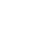 アイコン 認定U-CarPremium(高年式・低走行車)