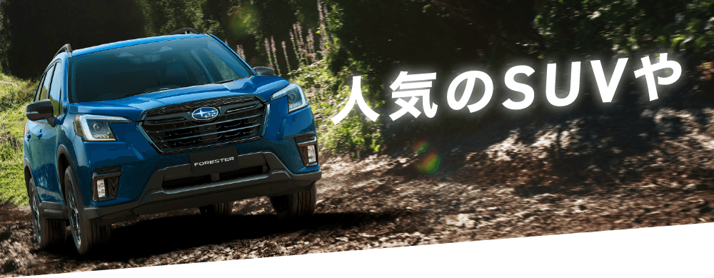 ⼈気のSUVや